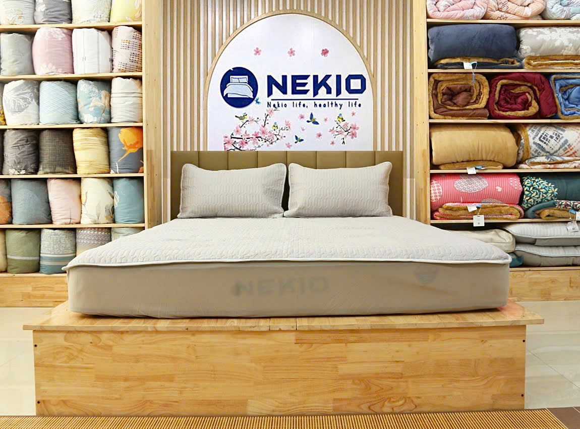 Chiếu Latex Nekio Ghi bo chun bọc đệm